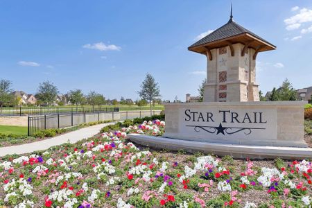 Star Trail: 55ft. lots by Highland Homes in Prosper - photo 6 6