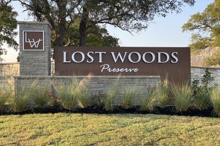 Lost Woods Preserve by M/I Homes in Leander - photo