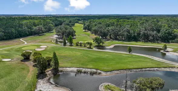 Wind Meadows South: The Estates by Lennar in Bartow - photo 0 0