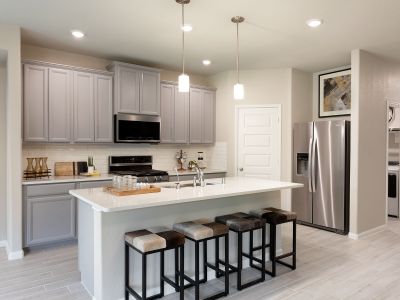 Pine Lake Cove - Premier Series by Meritage Homes in Montgomery - photo 9 9