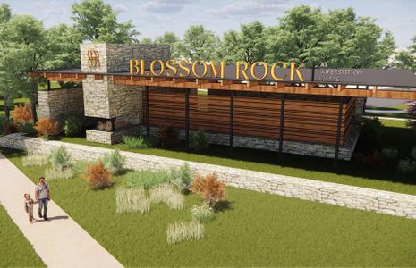Blossom Rock by Pulte Homes in Apache Junction - photo