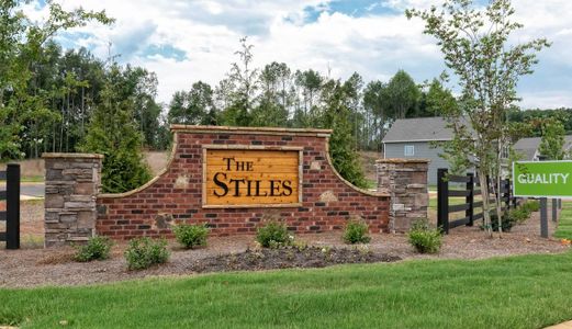 The Stiles by Smith Douglas Homes in Cartersville - photo 3