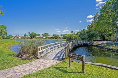 The Falls at Grand Harbor by GHO Homes in Vero Beach - photo 6 6