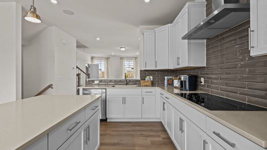 Towns at Alexander Providence by DRB Homes in Charlotte - photo 20 20