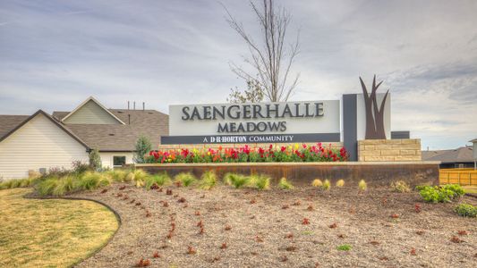 Saengerhalle Meadows by D.R. Horton in New Braunfels - photo 0 0