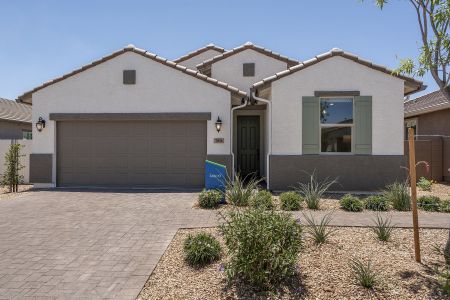 Wildera – Canyon Series by Landsea Homes in San Tan Valley - photo 32 32