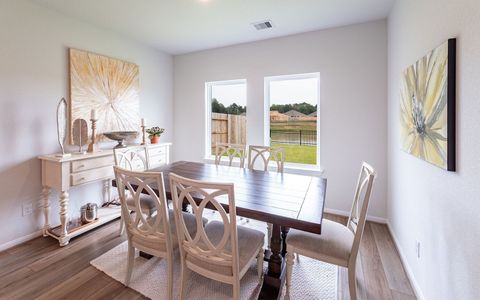 Willow View by CastleRock Communities in Converse - photo 11 11