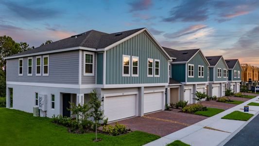 Blue Springs Reserve Townhomes by Trinity Family Builders in Groveland - photo 9 9