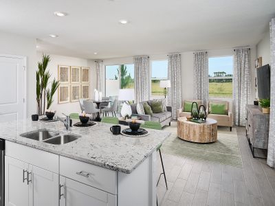 Watergrass Towns by Meritage Homes in Wesley Chapel - photo 12 12
