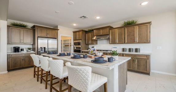 Eminence at Alamar by William Ryan Homes in Avondale - photo 24 24
