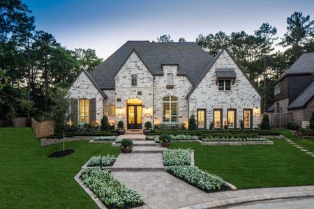 The Woodlands Hills: 75ft. lots by Highland Homes in Willis - photo 3 3
