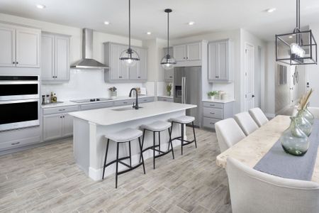 Asbury At Chapel Crossings by Mattamy Homes in Wesley Chapel - photo 12 12