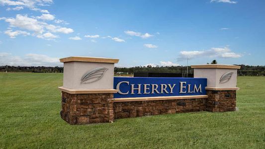 Cherry Elm at SilverLeaf by Taylor Morrison in Saint Augustine - photo 38 38