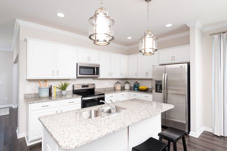 Petterson Meadows by Mungo Homes in Summerville - photo 62 62