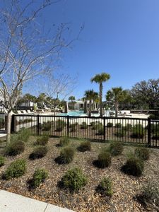 Oakland Park - Park Series by David Weekley Homes in Oakland - photo 8 8