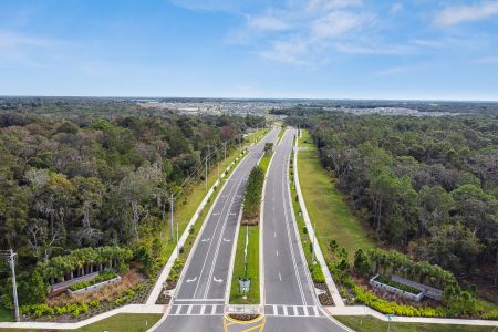 Berry Bay by M/I Homes in Wimauma - photo 9 9