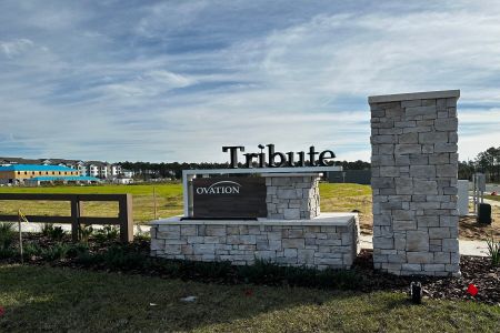 Tribute At Ovation by M/I Homes in Winter Garden - photo 17