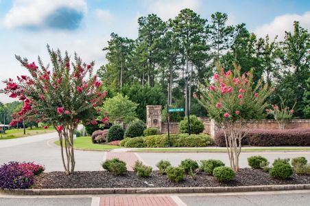 The Reserve At Liberty Park by Fischer Homes in Braselton - photo 8 8