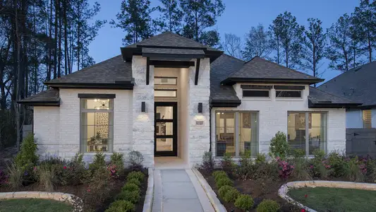 ARTAVIA 50' by Perry Homes in Conroe - photo