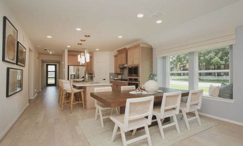 Ellis Cove by Brightland Homes in Seabrook - photo 6 6