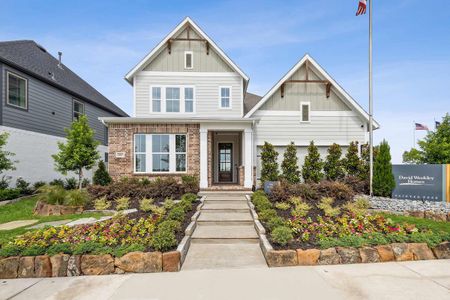 Painted Tree - Classic Series by David Weekley Homes in McKinney - photo 4 4
