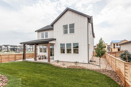 Mosaic Story Collection - Single Family Homes by Hartford Homes in Fort Collins - photo 1 1