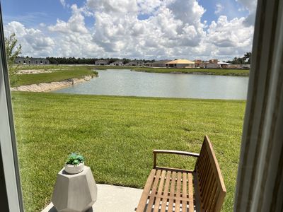 The Grove at Stuart Crossing - Premier Series by Meritage Homes in Bartow - photo 3 3