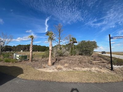 Overlook at Copahee Sound by Crescent Homes in Mount Pleasant - photo 5 5
