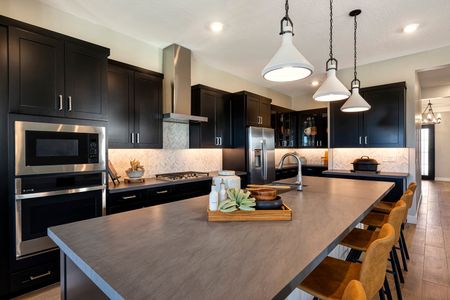 Canastero at Waterston Central by Tri Pointe Homes in Gilbert - photo 14 14