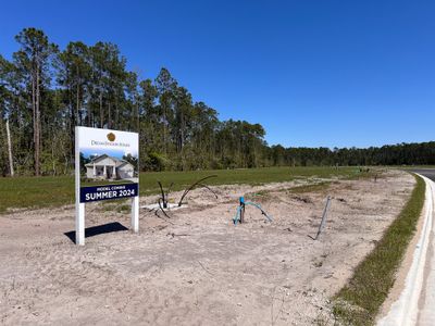 Palms at Windermere by Dream Finders Homes in Winter Garden - photo 20 20