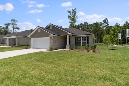 Natural Park Estates by Adams Homes in Jacksonville - photo 11 11
