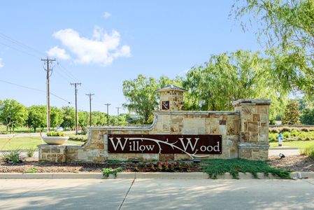 Willow Wood by Bloomfield Homes in McKinney - photo 0