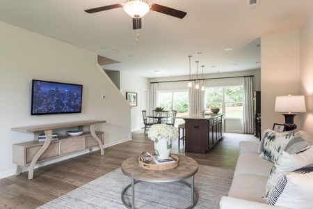 Petterson Meadows by Mungo Homes in Summerville - photo 50 50