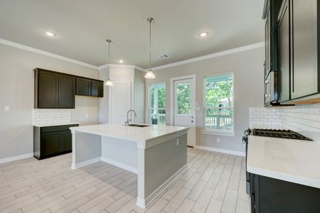 Peacock Isle by Bayway Homes in Dickinson - photo 20 20