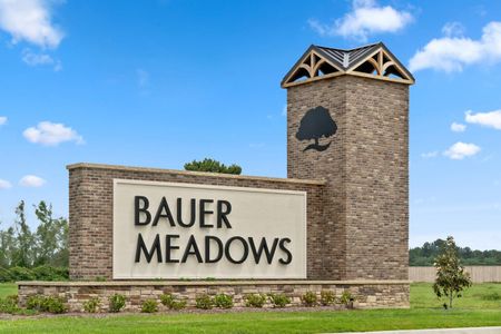 Bauer Meadow by KB Home in Hockley - photo 9 9
