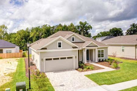 Amariah Park by GW Homes in Newberry - photo
