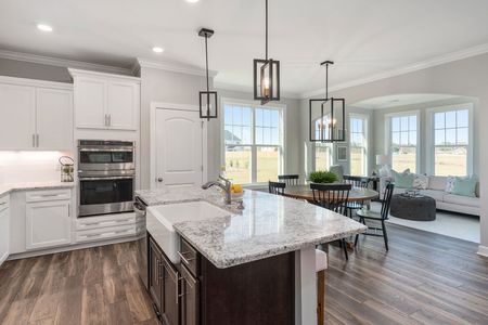 Lochton by Mungo Homes in Summerville - photo 60 60