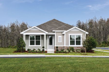 Persimmon Park - Cottage Series by David Weekley Homes in Wesley Chapel - photo 14 14