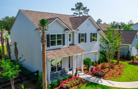 Sea Island Preserve by Pulte Homes in Johns Island - photo 10 10