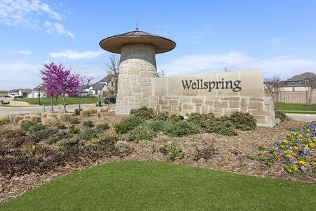 Wellspring Estates by First Texas Homes in Celina - photo 24