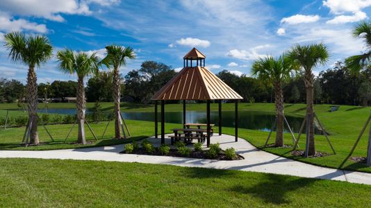 Harmony at Lake Eloise by Casa Fresca Homes in Winter Haven - photo 16 16