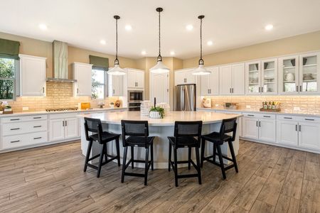 Ridge Collection at Whispering Hills by Tri Pointe Homes in Phoenix - photo 10 10
