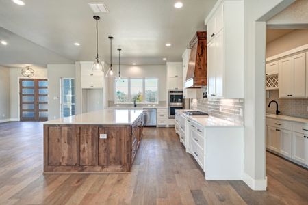 Aledo Bluffs by SkyTop Homes in Fort Worth - photo 17 17