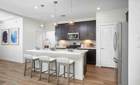 Sun Chase by Brightland Homes in Del Valle - photo 16 16