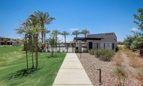 Ascent at Jorde Farms by Shea Homes in Queen Creek - photo 5 5