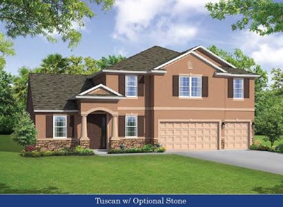 La Paloma in the Villages at Cypress Creek by William Ryan Homes in Spring Hill - photo