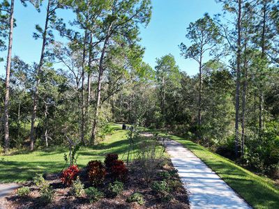 Stonebridge at Chapel Creek by Highland Homes of Florida in Zephyrhills - photo 3 3