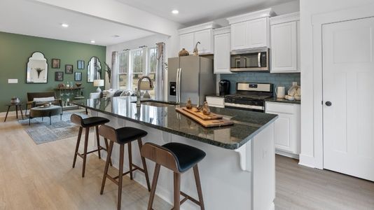Peace River Village Townhomes by DRB Homes in Raleigh - photo 1 1
