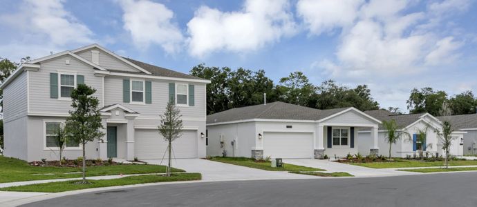 Liberty Preserve by Lennar in Leesburg - photo