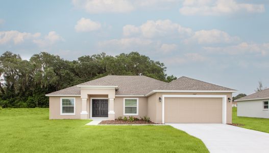 Estates At Sixty by Southern Homes in Bartow - photo 0